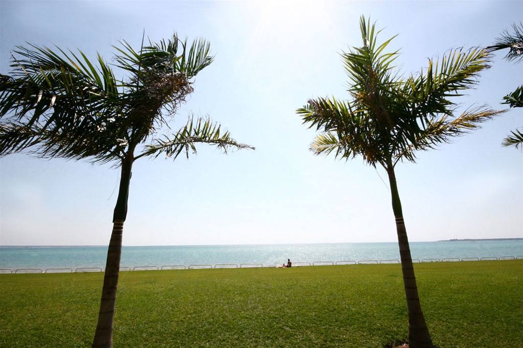 Quality Hotel Darwin Airport Konforlar fotoğraf Palm trees at the beach
